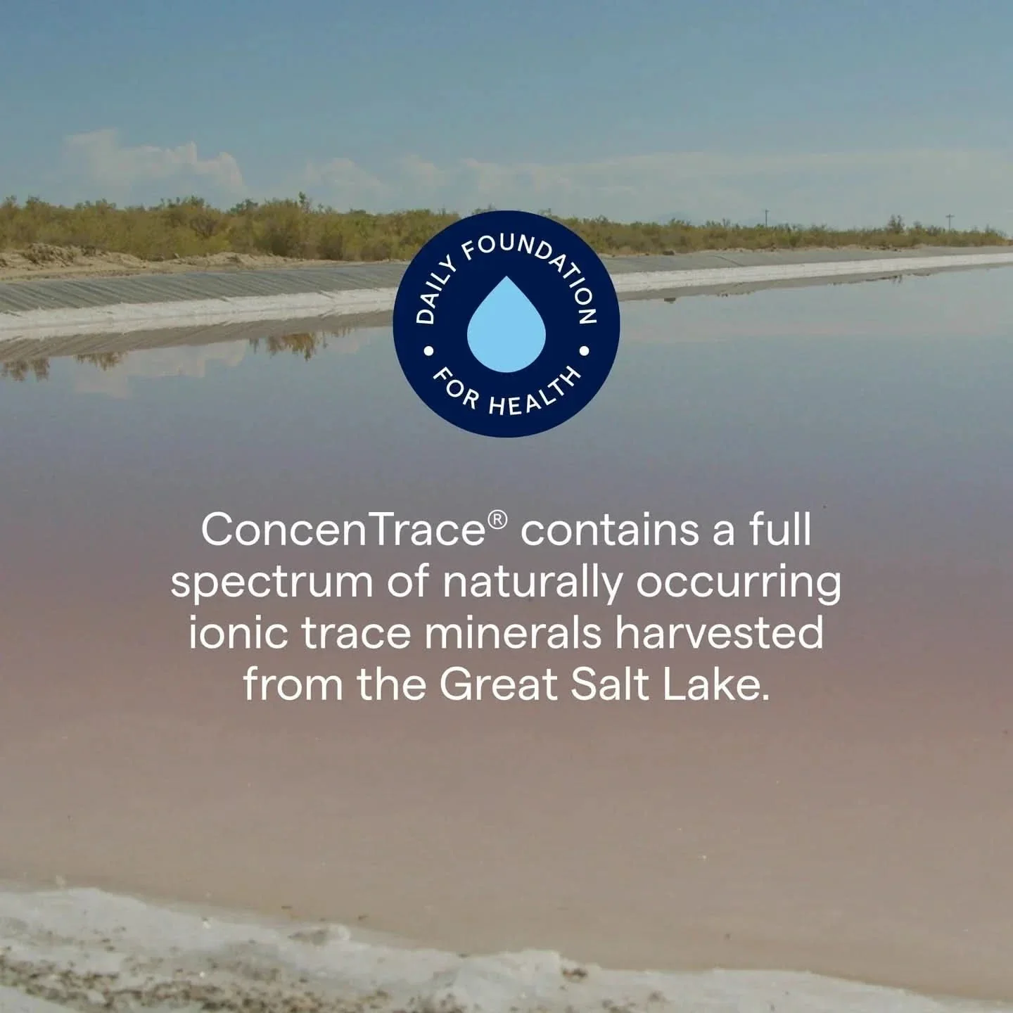 ConcenTrace - Trace Mineral Drops - 118ml - Image 6