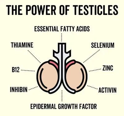Organic Bull Testicle Powder - 60g - Image 4