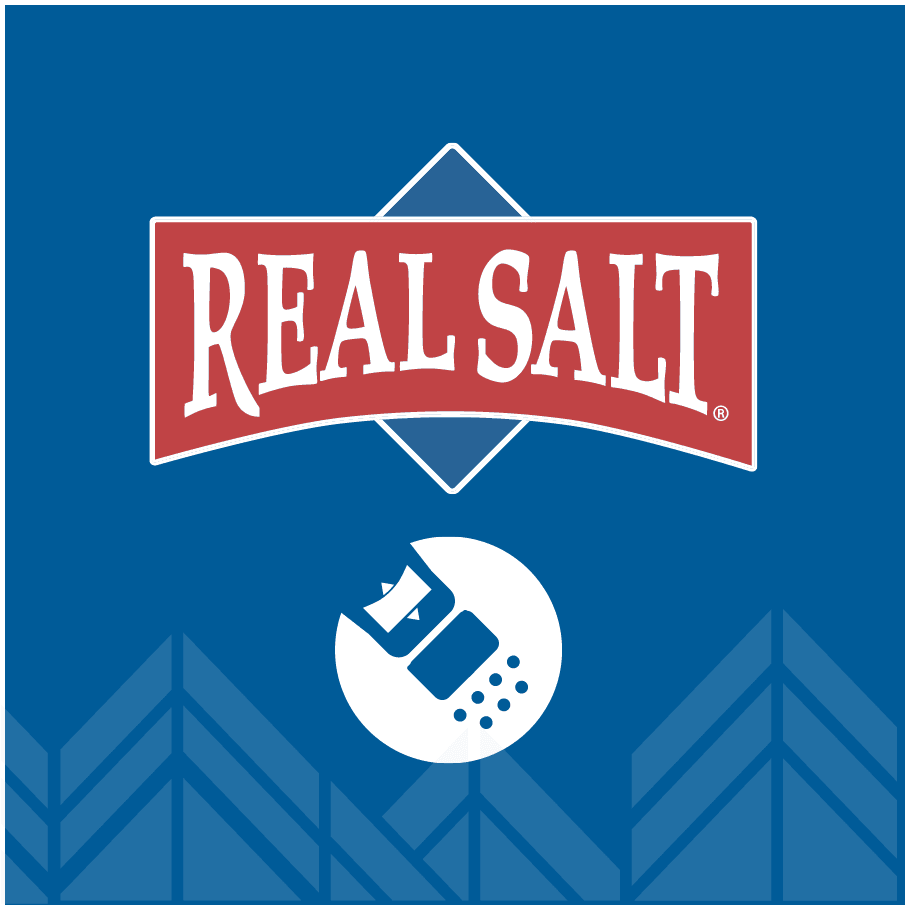 Redmond Real Salt - 737g - Image 4