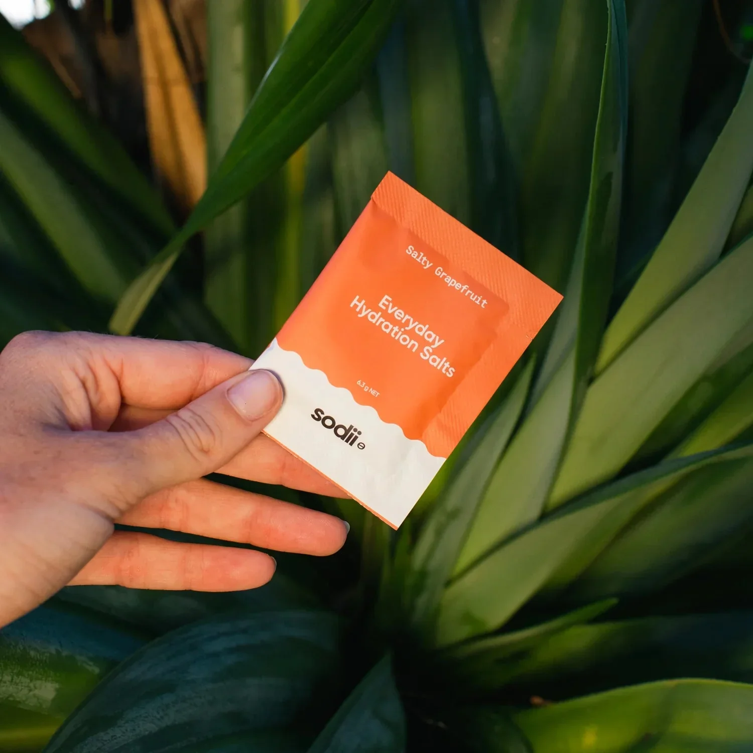 Salty Grapefruit - 30 Sachets - Image 4