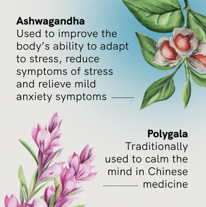 Stress & Anxiety with Ashwagandha - 60 Tablets - Image 4